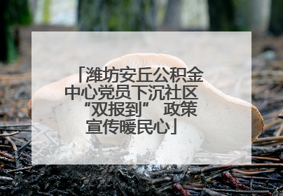 潍坊安丘公积金中心党员下沉社区“双报到” 政策宣传暖民心