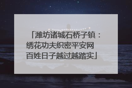 潍坊诸城石桥子镇：绣花功夫织密平安网 百姓日子越过越踏实