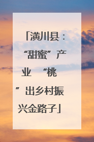 潢川县：“甜蜜”产业  “桃”出乡村振兴金路子