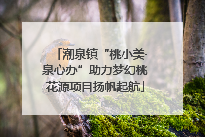 潮泉镇“桃小美·泉心办”助力梦幻桃花源项目扬帆起航