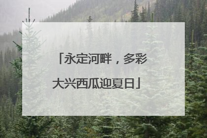 永定河畔，多彩大兴西瓜迎夏日
