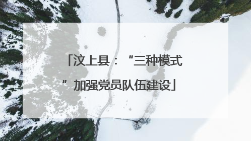 汶上县：“三种模式”加强党员队伍建设