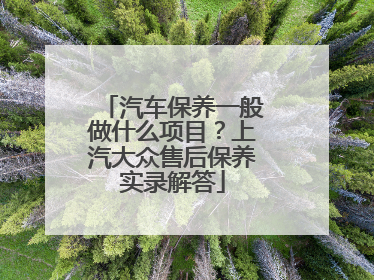 汽车保养一般做什么项目？上汽大众售后保养实录解答