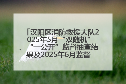 汉阳区消防救援大队2025年5月“双随机”、“一公开”监督抽查结果及2025年6月监督抽查任务公示