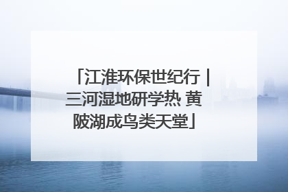 江淮环保世纪行｜三河湿地研学热 黄陂湖成鸟类天堂