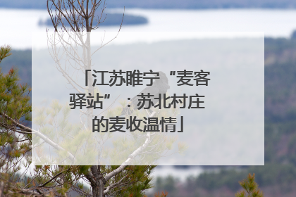 江苏睢宁“麦客驿站”：苏北村庄的麦收温情