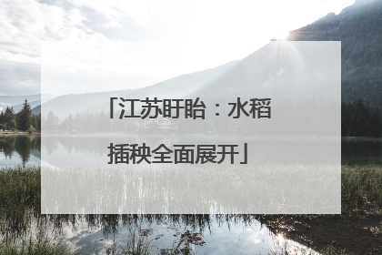 江苏盱眙：水稻插秧全面展开