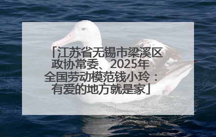 江苏省无锡市梁溪区政协常委、2025年全国劳动模范钱小玲：有爱的地方就是家