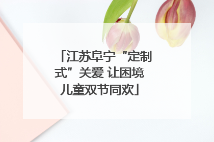 江苏阜宁“定制式”关爱 让困境儿童双节同欢