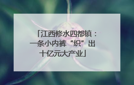 江西修水四都镇：一条小内裤“织”出十亿元大产业