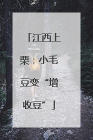 江西上栗：小毛豆变“增收豆”