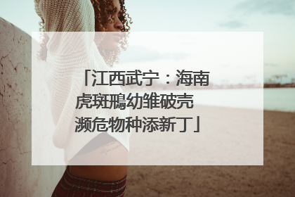 江西武宁：海南虎斑鳽幼雏破壳 濒危物种添新丁