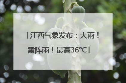 江西气象发布：大雨！雷阵雨！最高36°C