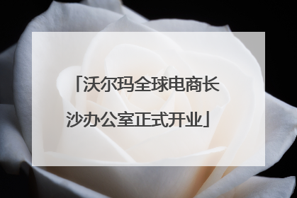 沃尔玛全球电商长沙办公室正式开业