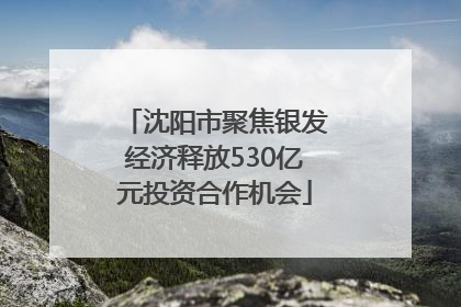 沈阳市聚焦银发经济释放530亿元投资合作机会