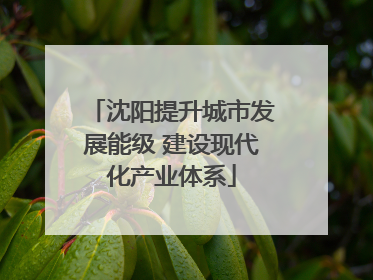 沈阳提升城市发展能级 建设现代化产业体系