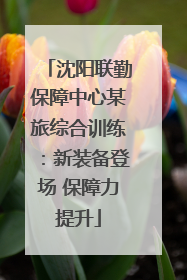 沈阳联勤保障中心某旅综合训练：新装备登场 保障力提升