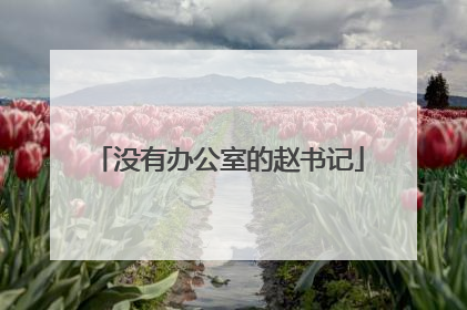 没有办公室的赵书记