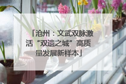 沧州：文武双脉激活“双遗之城”高质量发展新样本