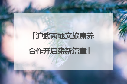 沪武两地文旅康养合作开启崭新篇章