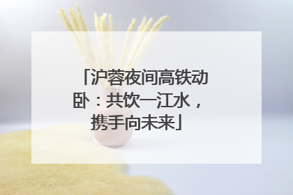 沪蓉夜间高铁动卧：共饮一江水，携手向未来