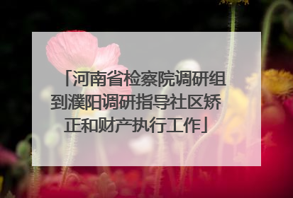 河南省检察院调研组到濮阳调研指导社区矫正和财产执行工作