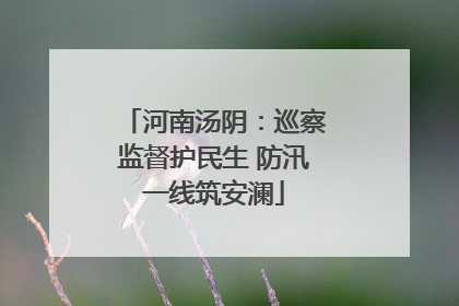 河南汤阴：巡察监督护民生 防汛一线筑安澜