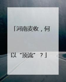 河南麦收，何以“顶流”？