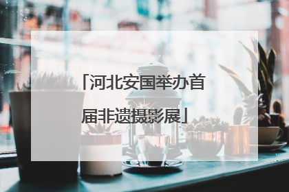 河北安国举办首届非遗摄影展