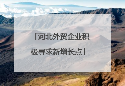 河北外贸企业积极寻求新增长点