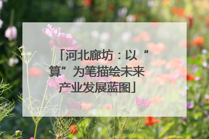 河北廊坊：以“算”为笔描绘未来产业发展蓝图
