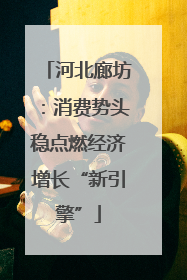 河北廊坊：消费势头稳点燃经济增长“新引擎”