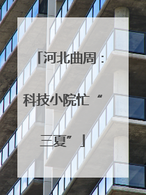 河北曲周：科技小院忙“三夏”
