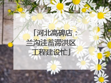 河北高碑店：兰沟洼蓄滞洪区工程建设忙