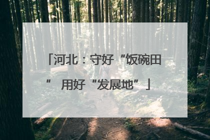 河北：守好“饭碗田” 用好“发展地”