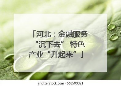 河北：金融服务“沉下去” 特色产业“升起来”
