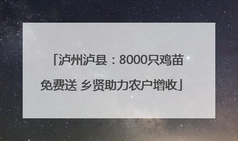 泸州泸县：8000只鸡苗免费送 乡贤助力农户增收