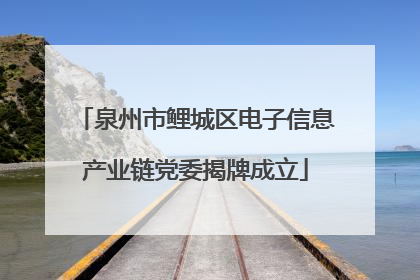 泉州市鲤城区电子信息产业链党委揭牌成立
