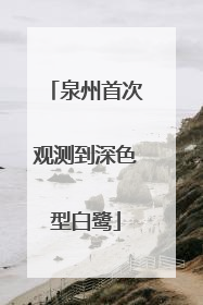 泉州首次观测到深色型白鹭