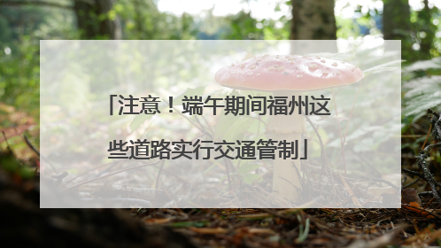 注意！端午期间福州这些道路实行交通管制