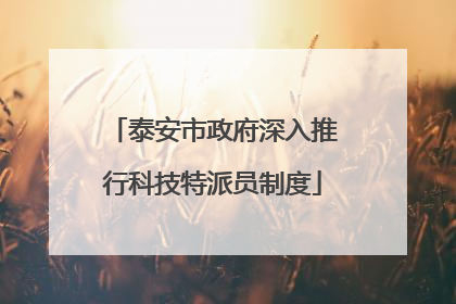 泰安市政府深入推行科技特派员制度