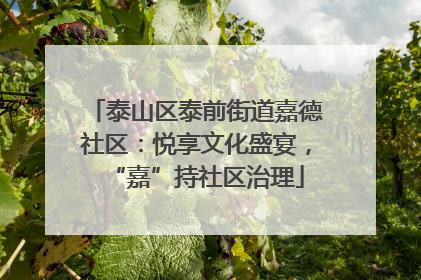 泰山区泰前街道嘉德社区：悦享文化盛宴，“嘉”持社区治理