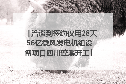 洽谈到签约仅用28天 56亿微风发电机组设备项目四川蓬溪开工