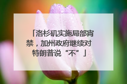 洛杉矶实施局部宵禁，加州政府继续对特朗普说“不”