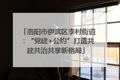 洛阳市伊滨区李村街道：“党建+公约”打造共建共治共享新格局