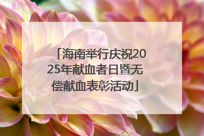 海南举行庆祝2025年献血者日暨无偿献血表彰活动