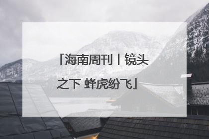 海南周刊丨镜头之下 蜂虎纷飞