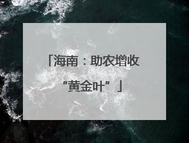 海南：助农增收 “黄金叶”