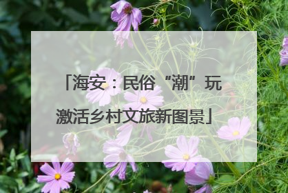 海安：民俗“潮”玩激活乡村文旅新图景