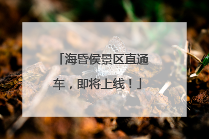 海昏侯景区直通车，即将上线！